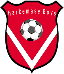 鲁斯特运动